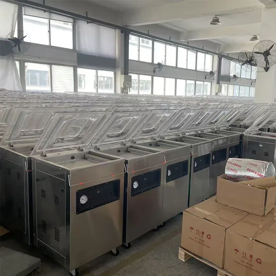 Máquina de embalar alimentos portátil com sacos seladores a vácuo