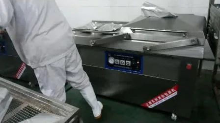 Máquina de embalagem a vácuo comercial para frutas, legumes, amendoim e seladora a vácuo para uso doméstico